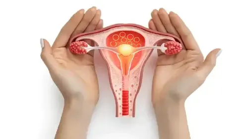 Ovaries: Role in Reproduction, Hormones, and Women’s Health